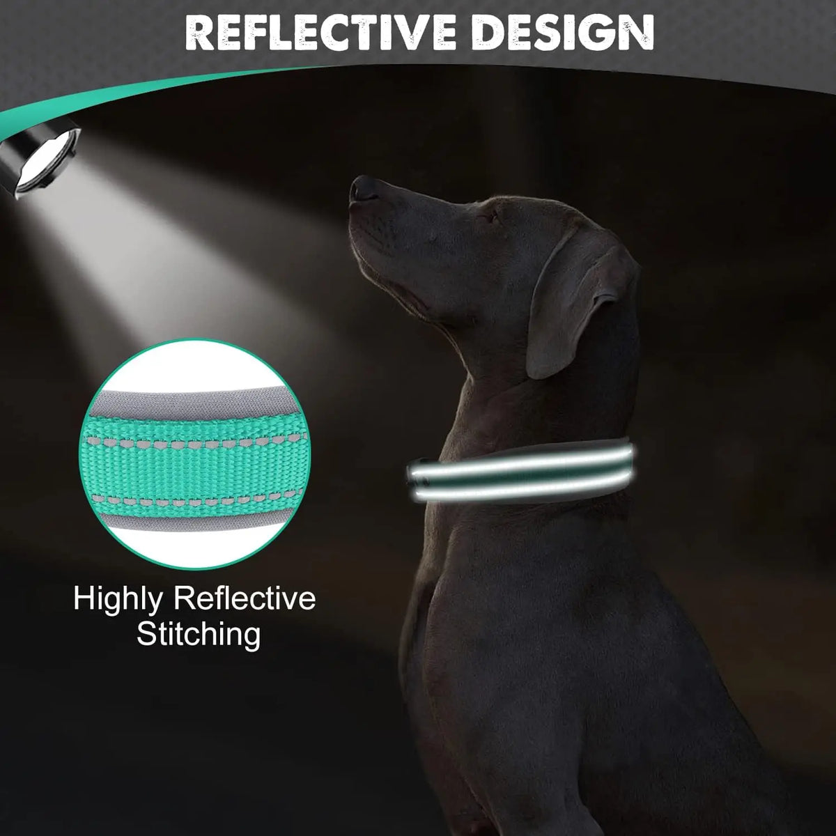 Wide Padded Reflective Collar