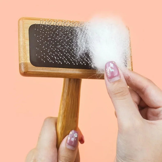 Wooden Pin Brush