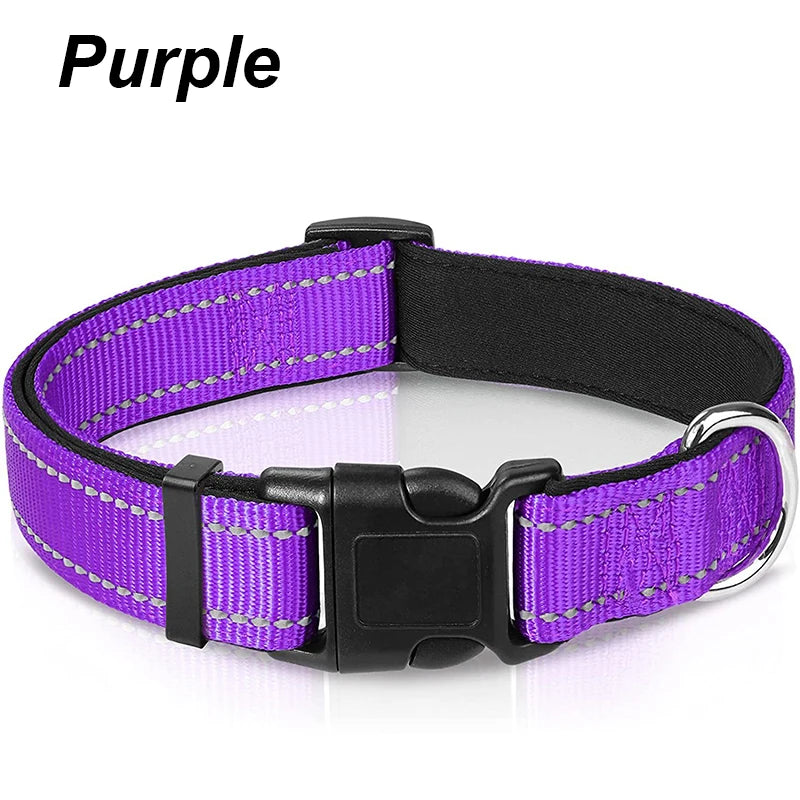 Reflective Padded Dog Collar