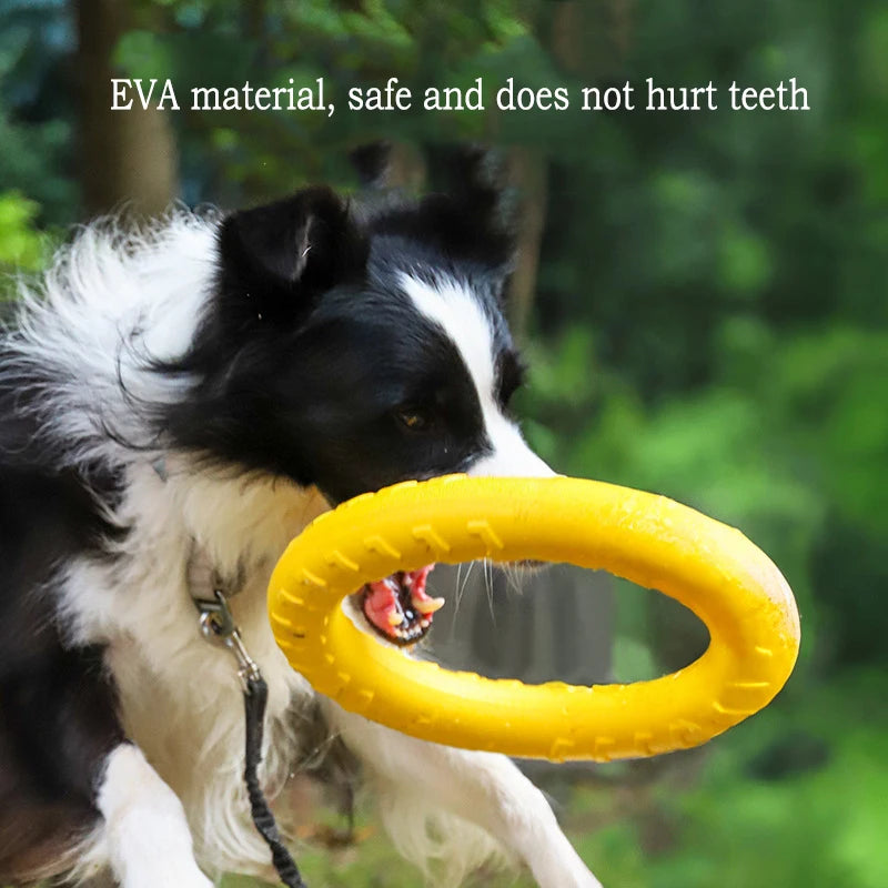Fetch Toy – Pick Your Style