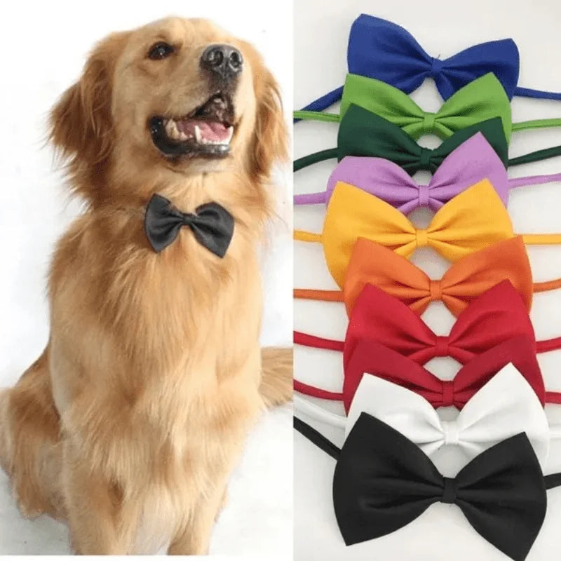 Adjustable Bow Tie Collar