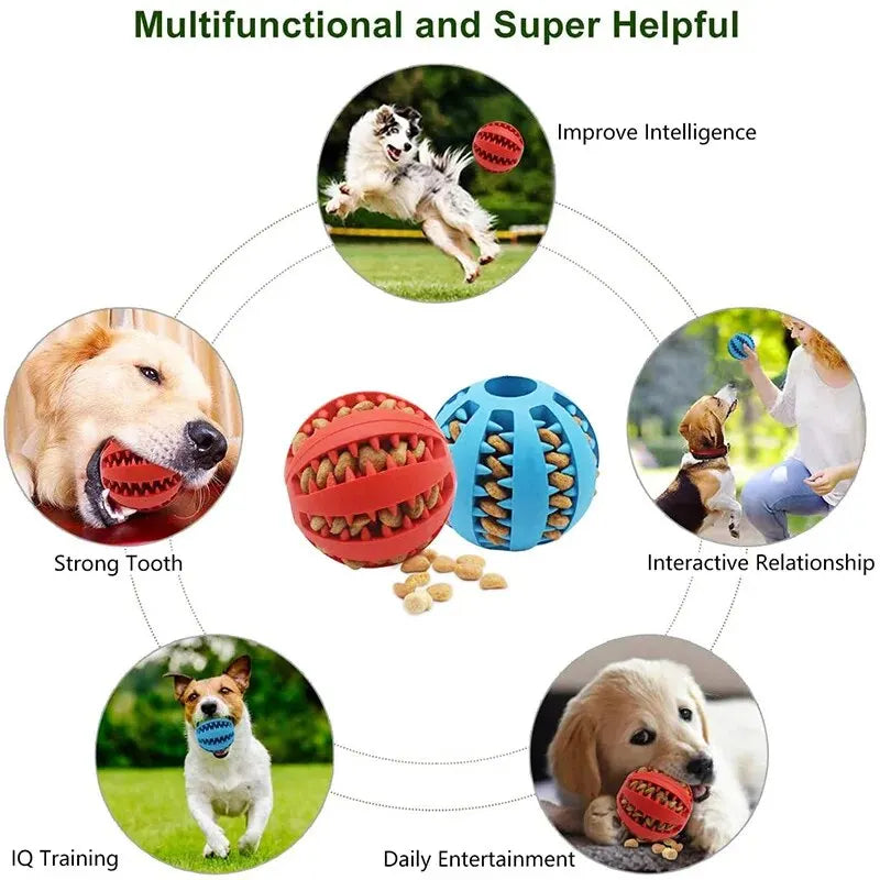 Treat-Dispensing Rubber Ball