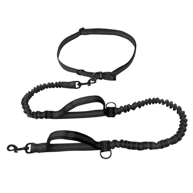 Dual-Dog Reflective Running Leash