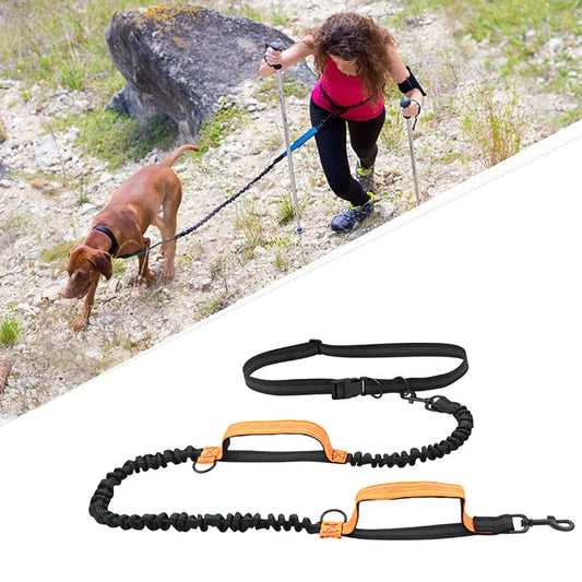 Dual-Dog Reflective Running Leash
