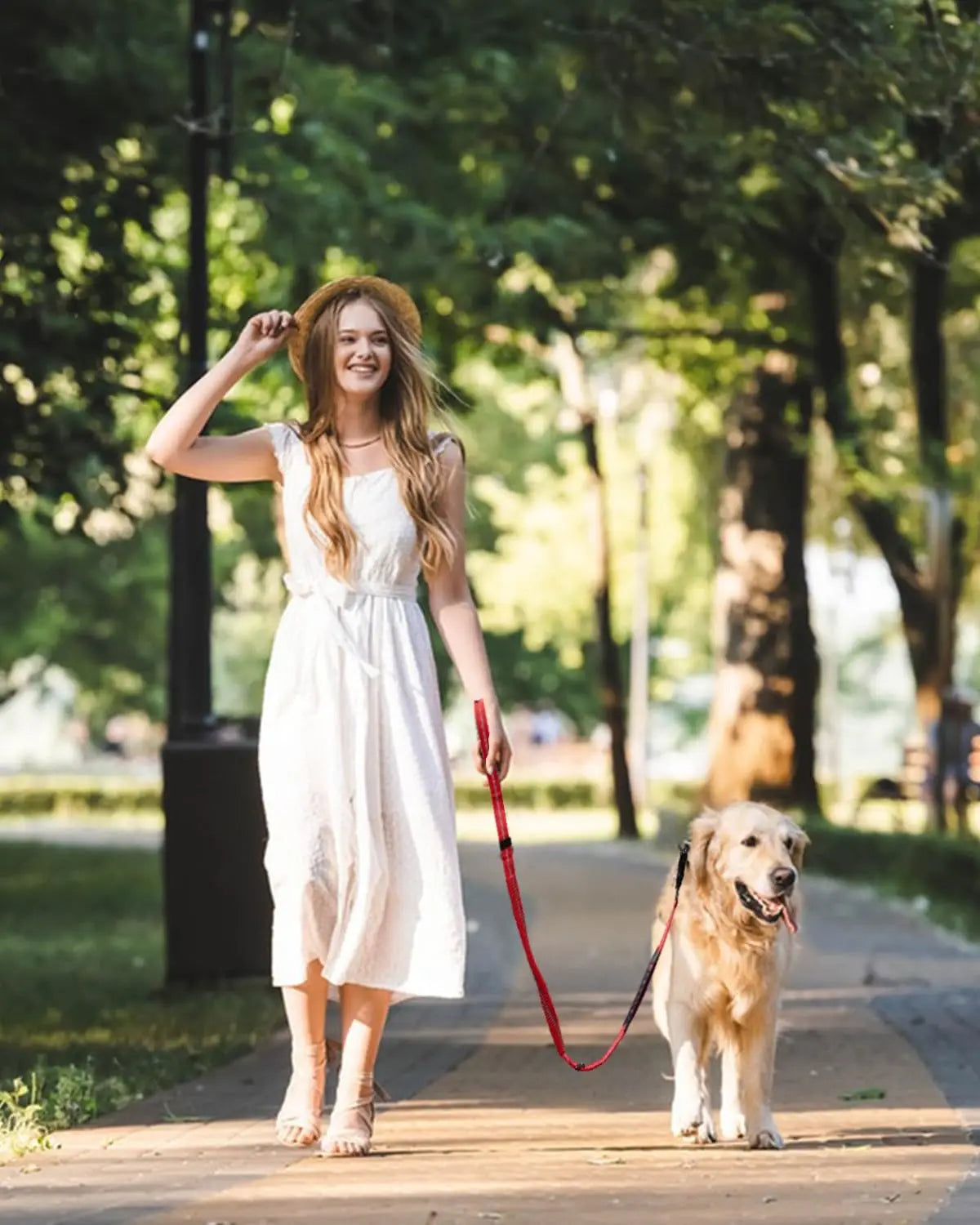 Shock-Absorbing Bungee Leash