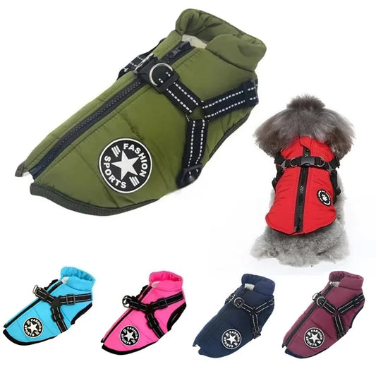 Large-Dog Jacket with Harness Opening