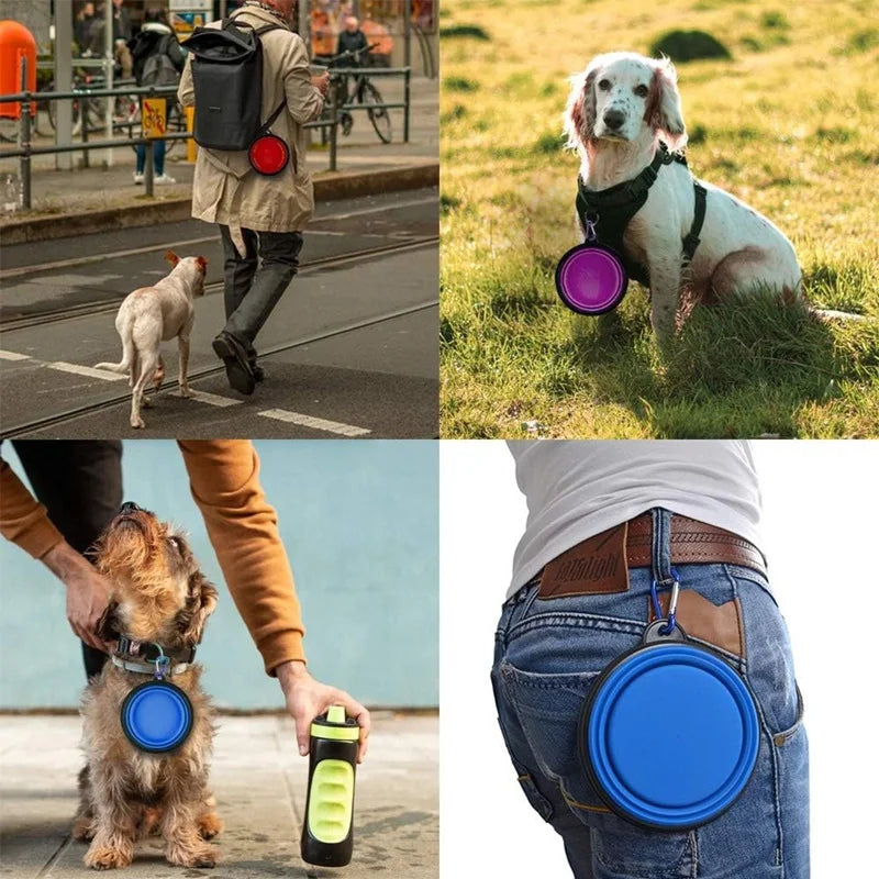 2-in-1 Folding Bowl with Carabiner