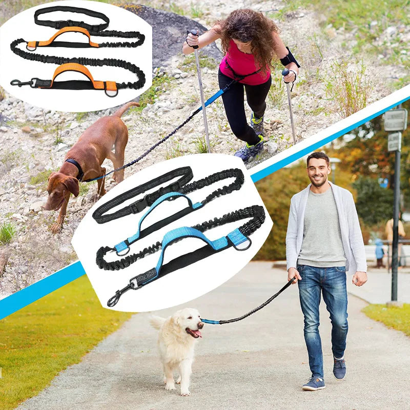 Dual-Dog Reflective Running Leash
