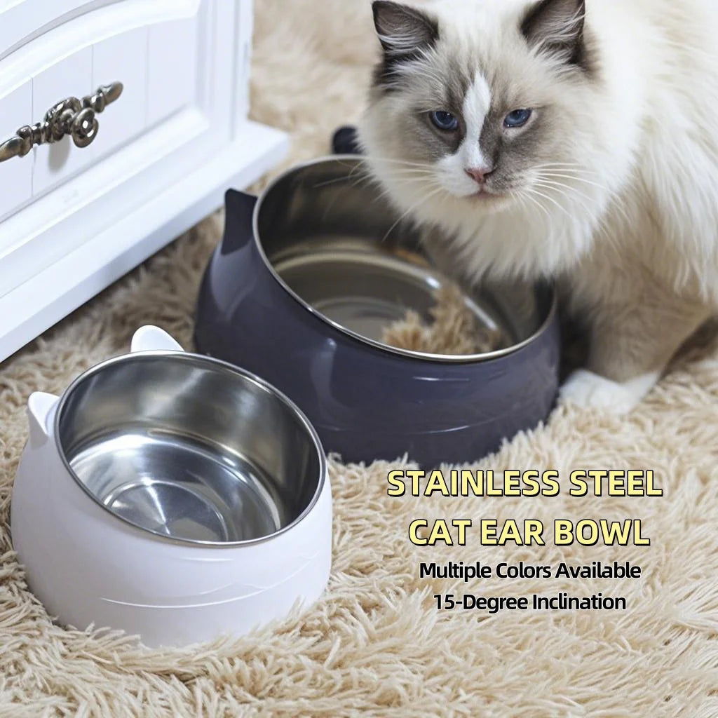 Stainless Steel Tilted Double Bowl