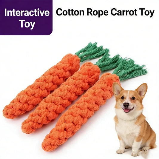 Carrot Braided Rope Chew