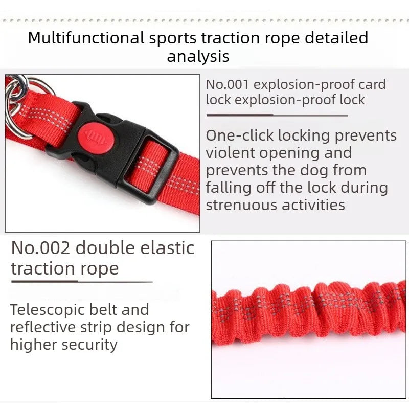 Hands-Free Waist Belt Leash