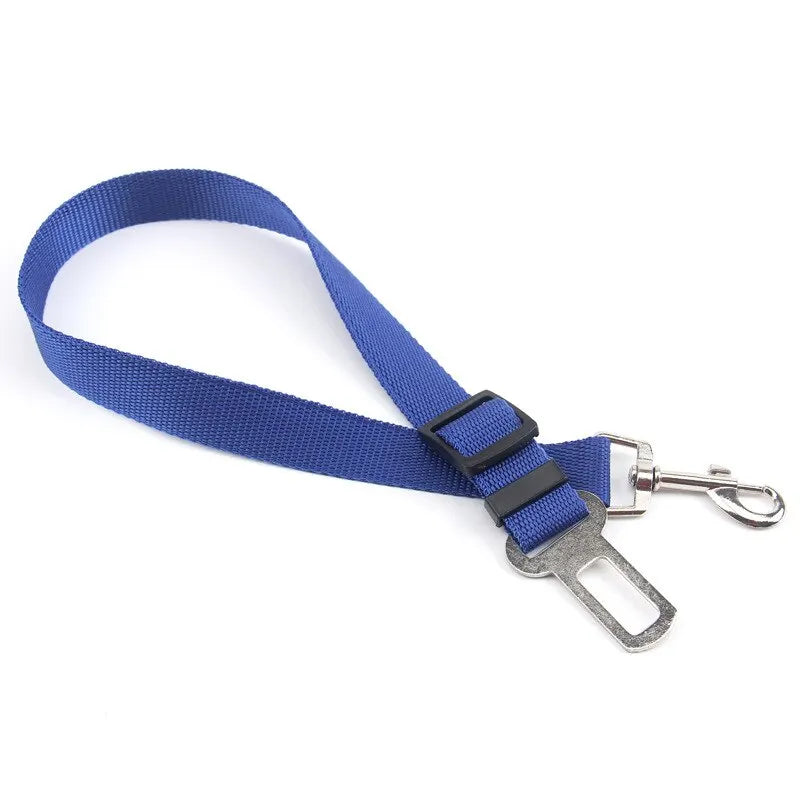 Car Seat Belt Leash