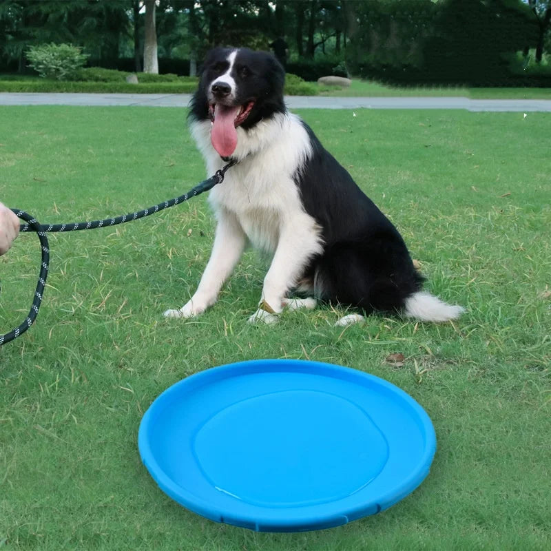 Soft Silicone Flying Disc