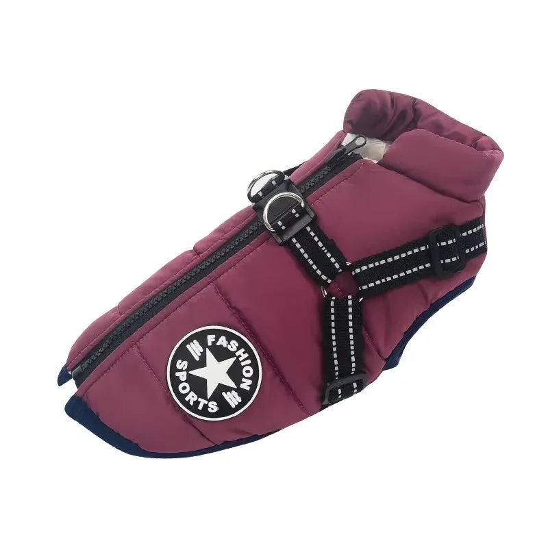 Large-Dog Jacket with Harness Opening