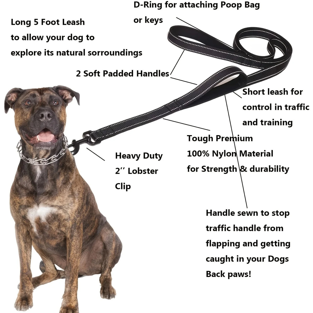 Double-Handle Traffic Leash