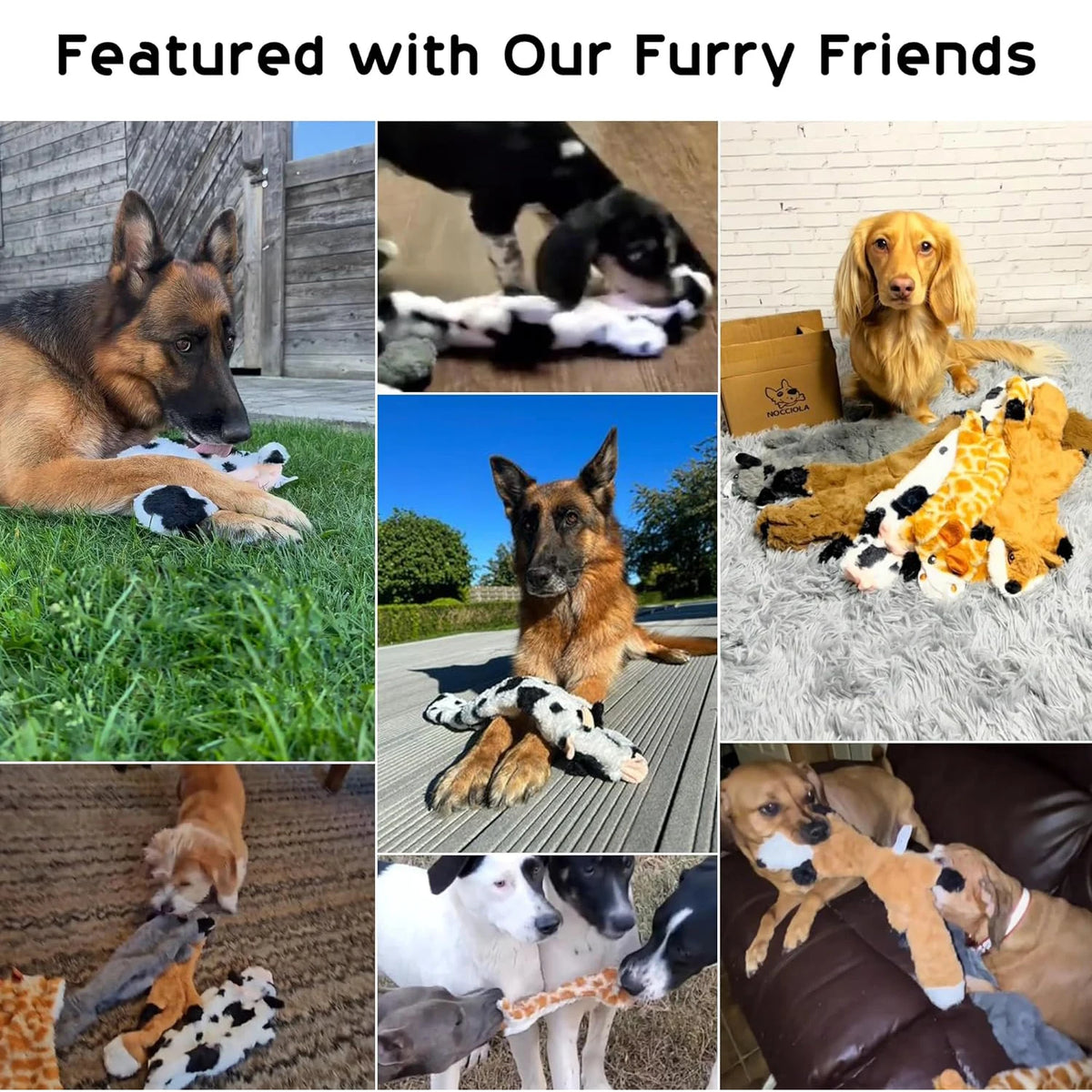 No-Stuffing Crinkle Squeaky Toy - Pick Your Animal