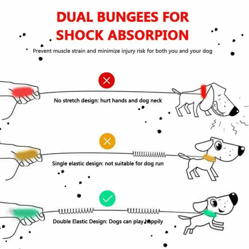 Dual-Dog Reflective Running Leash