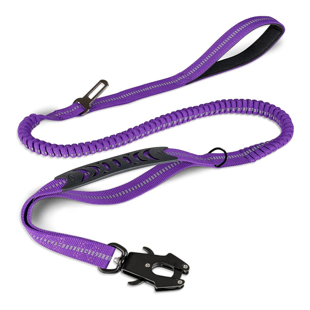 Shock-Absorbing Bungee Leash