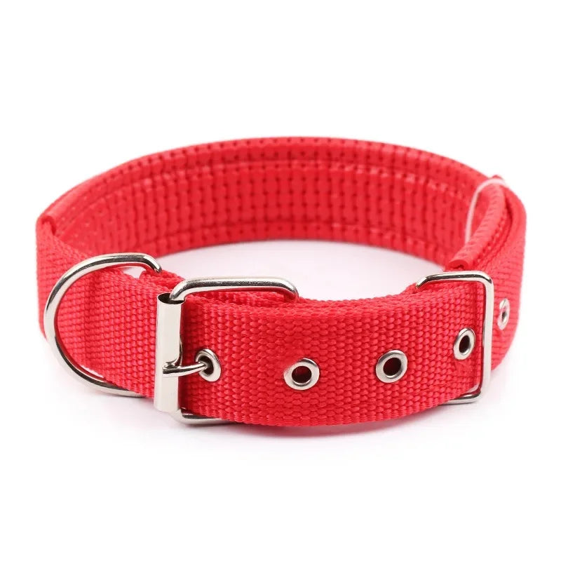 Classic Solid Nylon Dog Collar