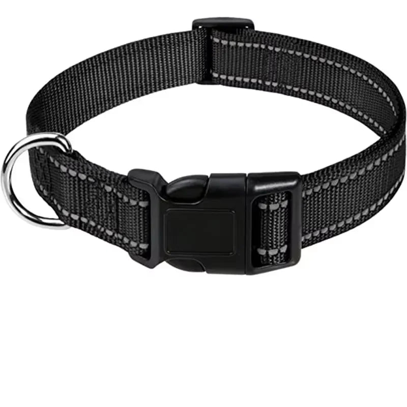 Neoprene Padded Nylon Dog Collar