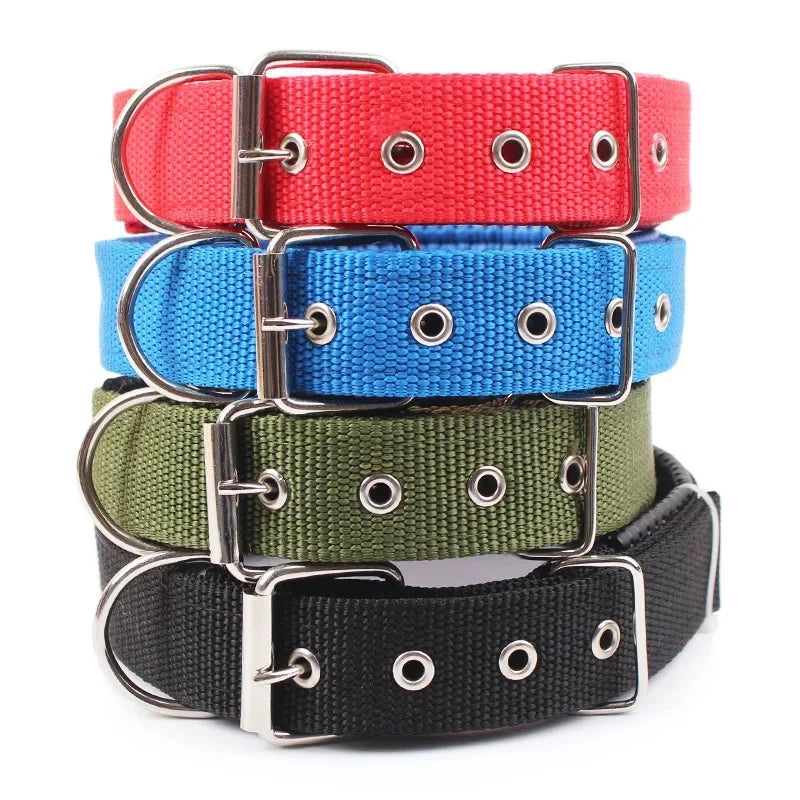 Classic Solid Nylon Dog Collar