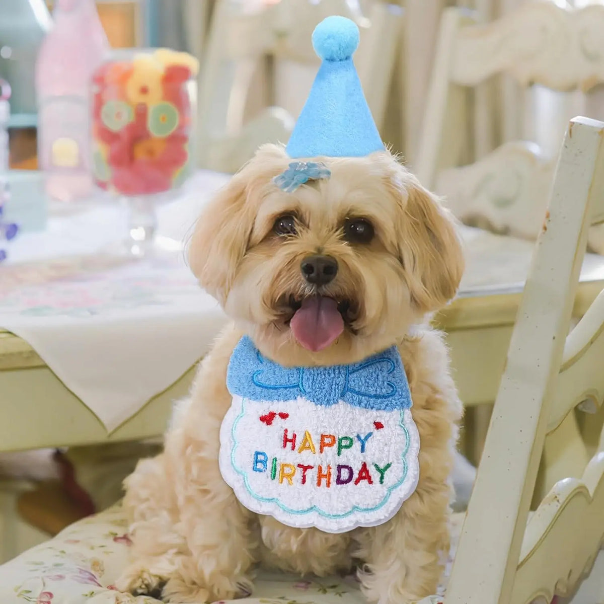 Birthday Bandana & Party Hat Set