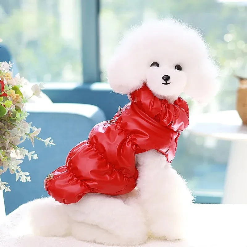 Padded Winter Coat