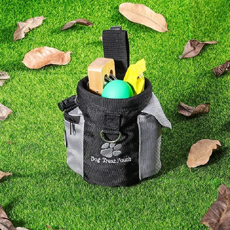Dog Walking Fanny Pack