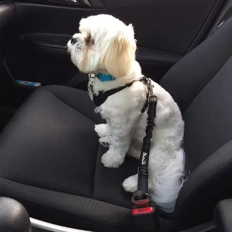 Bungee Car Seat Belt with Reflective Line