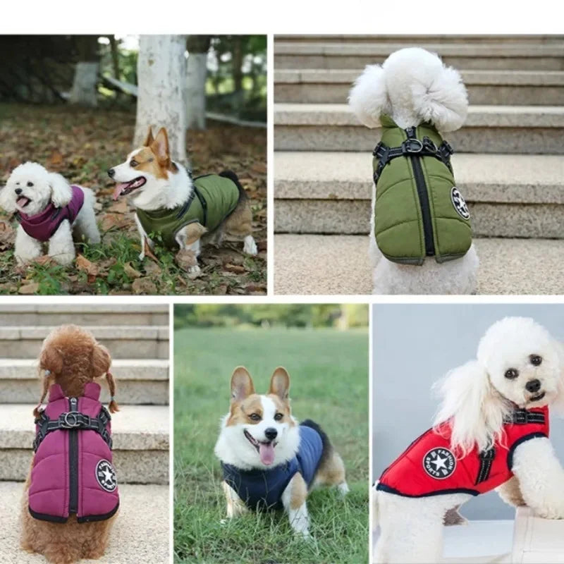 Large-Dog Jacket with Harness Opening