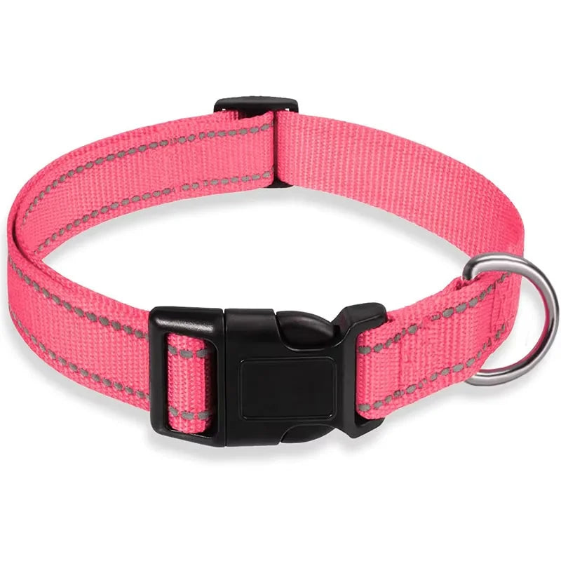 Neoprene Padded Nylon Dog Collar