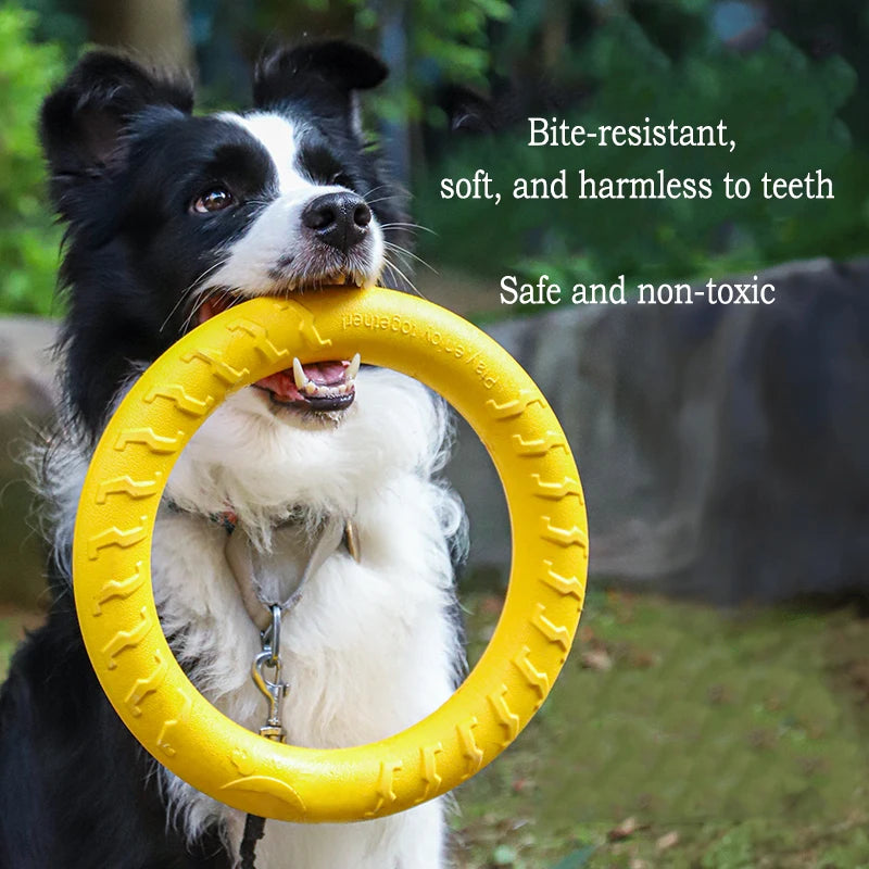 Fetch Toy – Pick Your Style