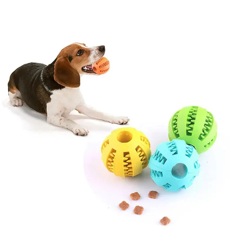 Treat-Dispensing Rubber Ball