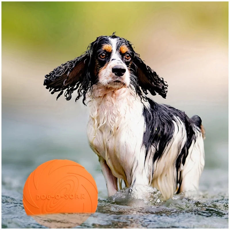 Soft Silicone Flying Disc