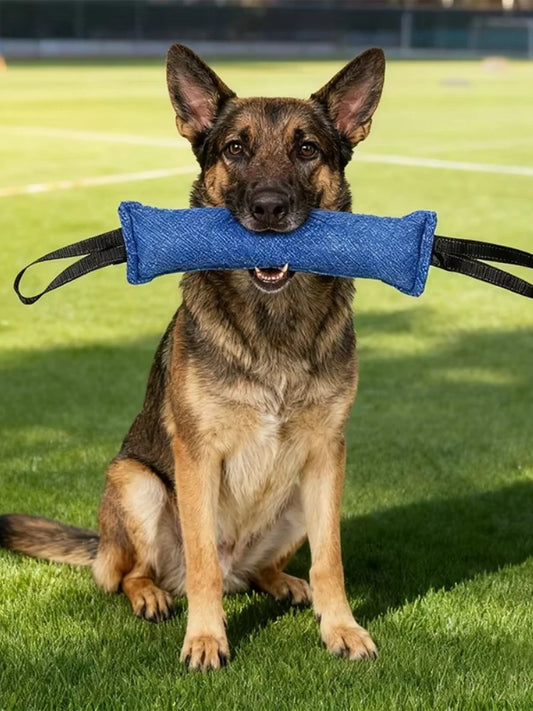 Jute Bite Pillow Tug Toy