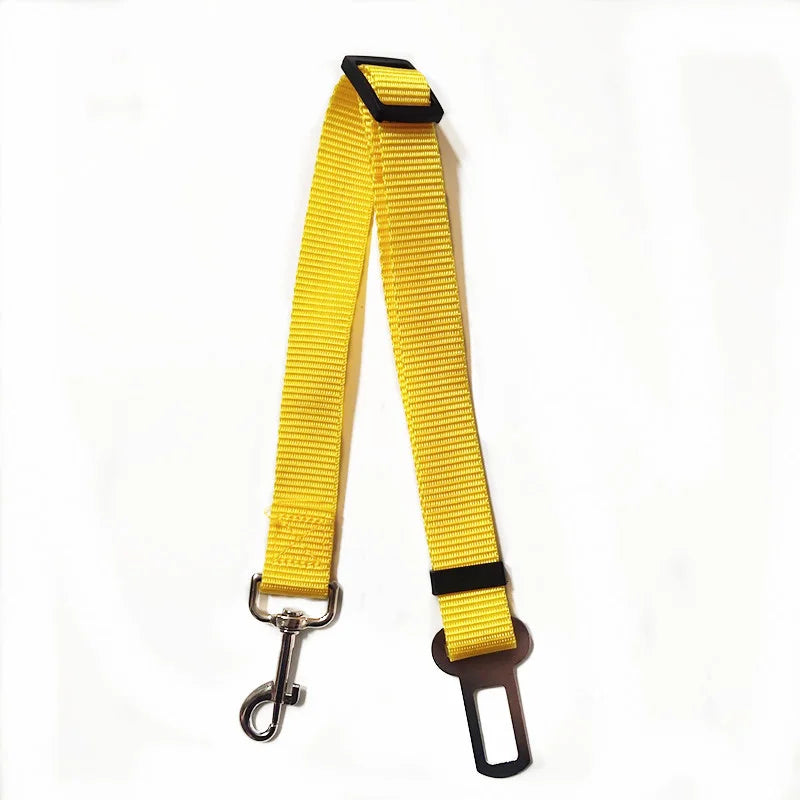 Car Seat Belt Leash
