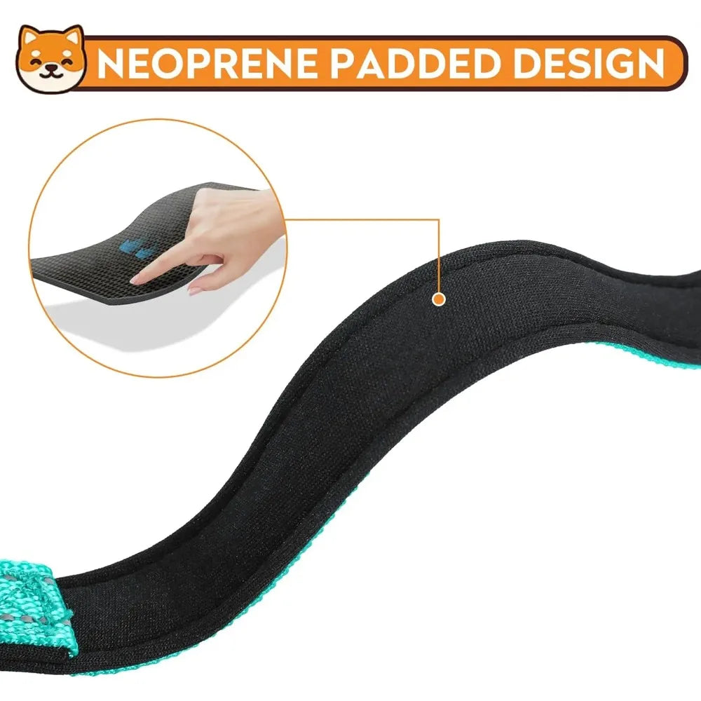 Neoprene Padded Nylon Dog Collar