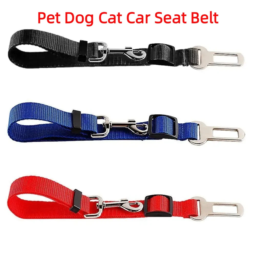 Car Seat Belt Leash