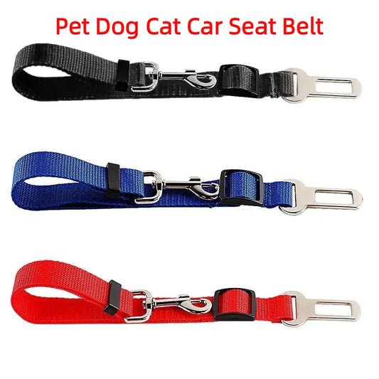 Car Seat Belt Leash
