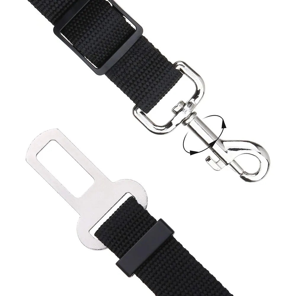 Car Seat Belt Leash