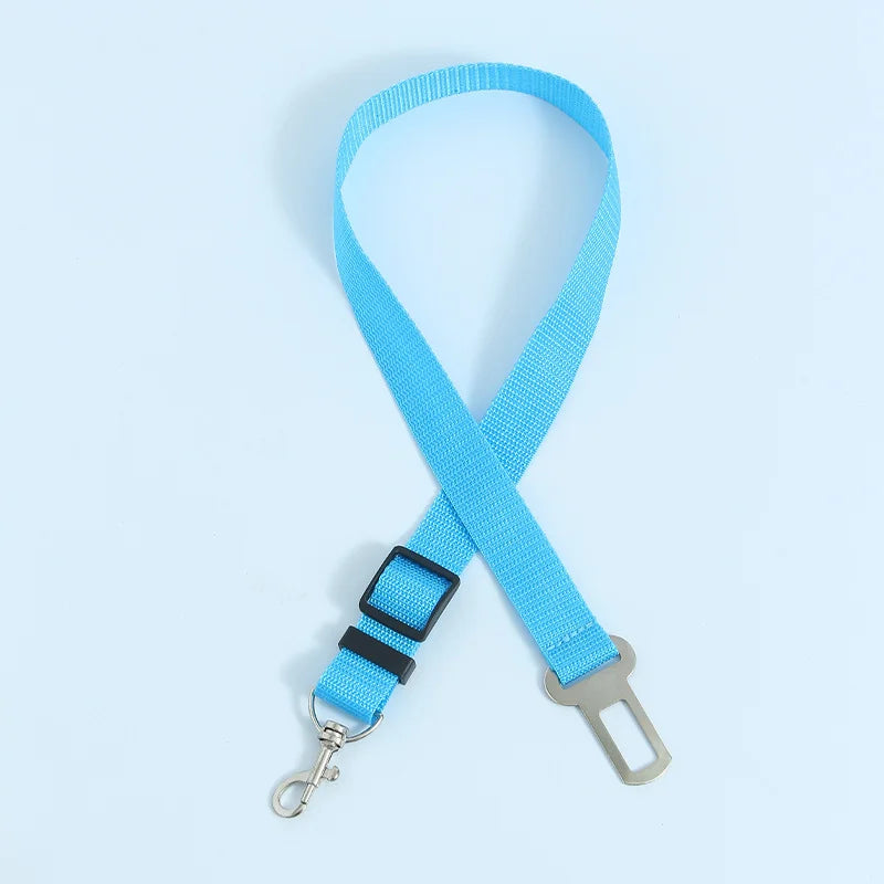 Car Seat Belt Leash