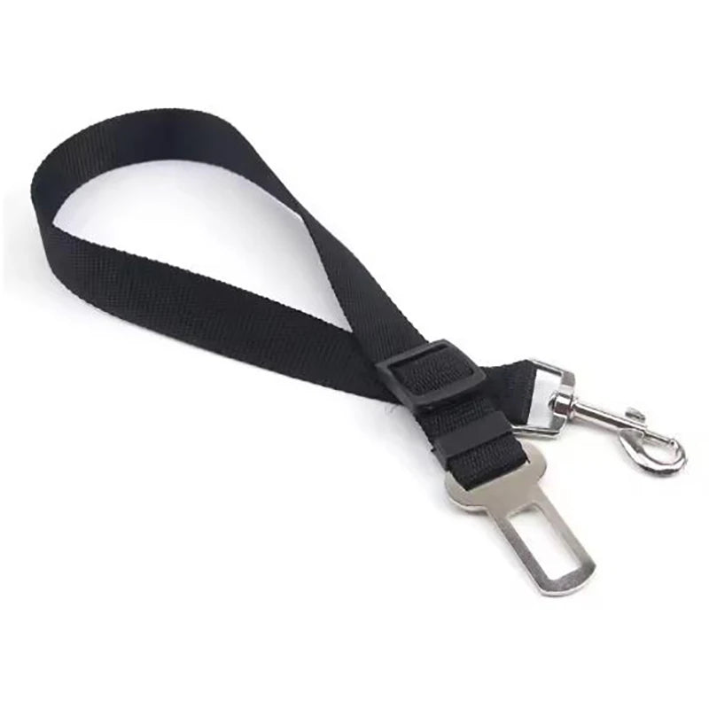 Bungee Car Seat Belt with Reflective Line