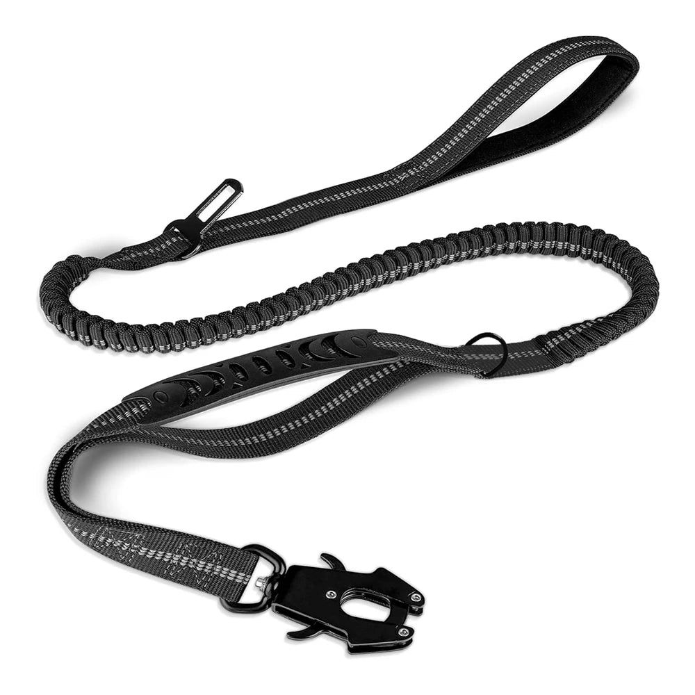Shock-Absorbing Bungee Leash