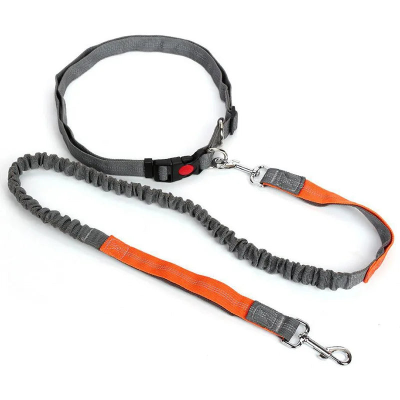 Hands-Free Waist Belt Leash