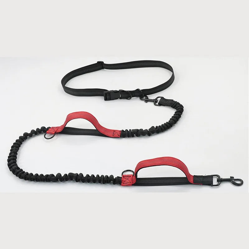 Dual-Dog Reflective Running Leash