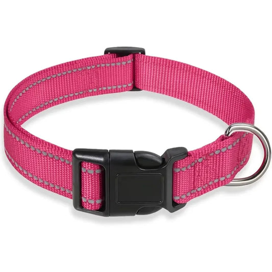 Neoprene Padded Nylon Dog Collar