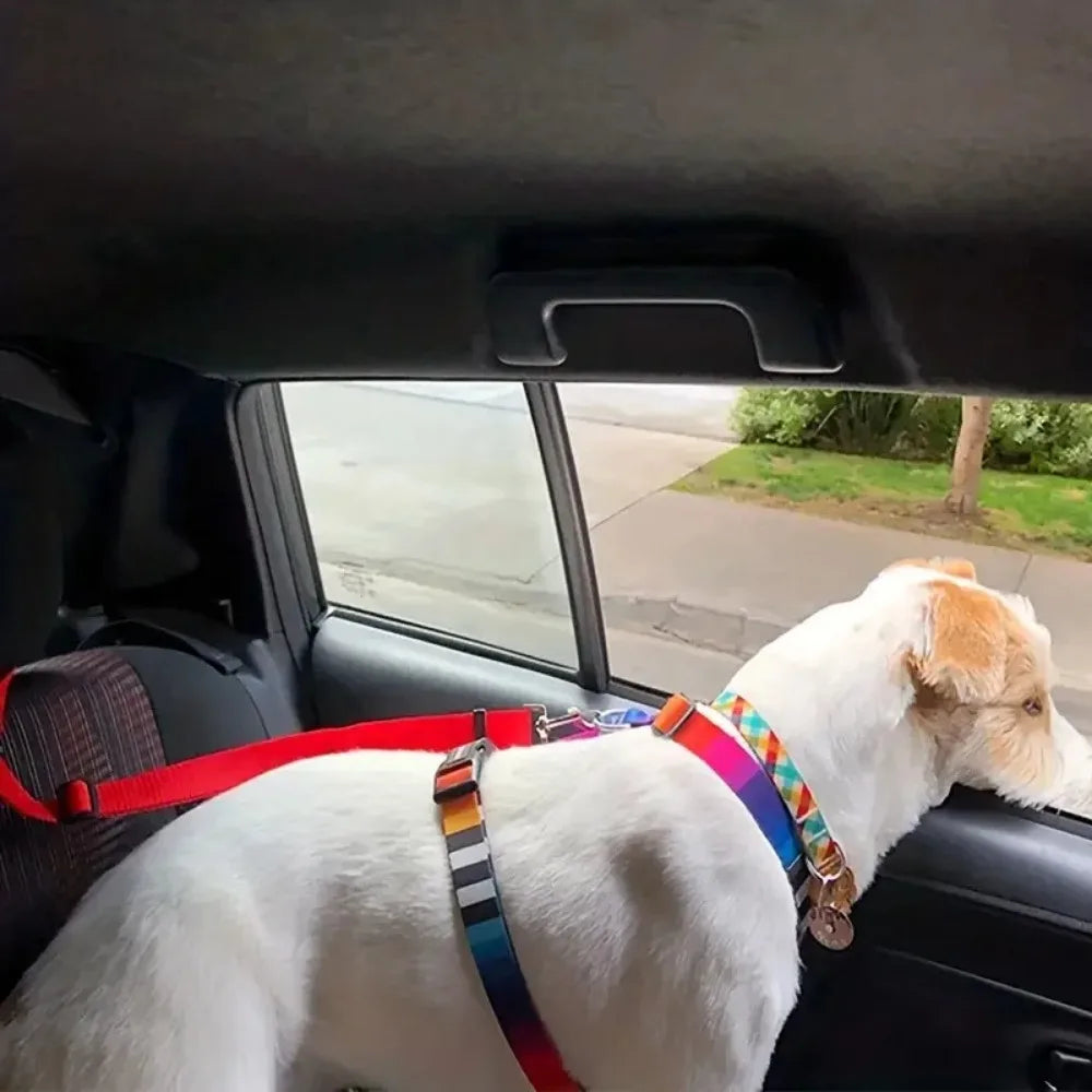 Headrest Restraint Seat Belt