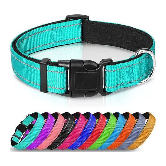 Reflective Padded Dog Collar