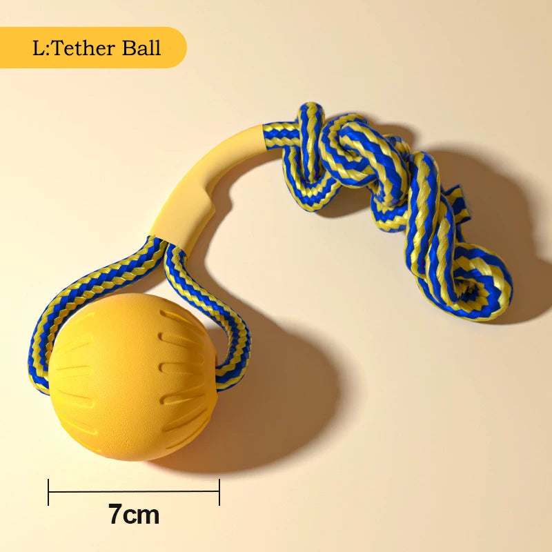 Fetch Toy – Pick Your Style