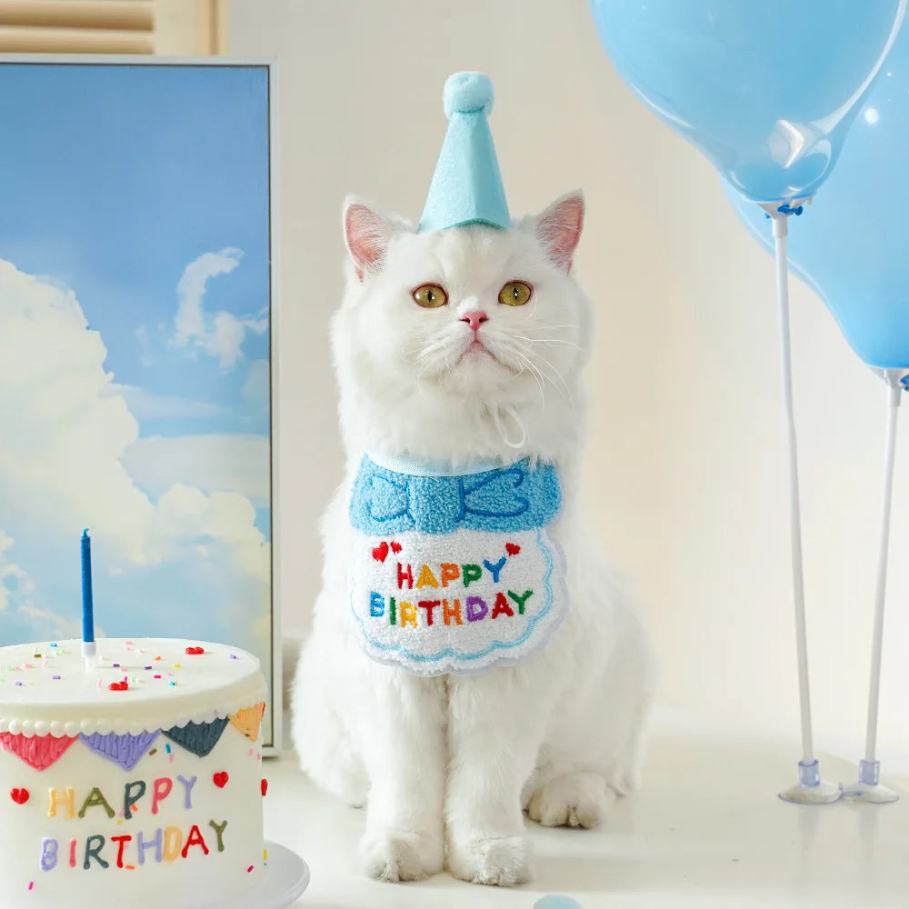 Birthday Bandana & Party Hat Set